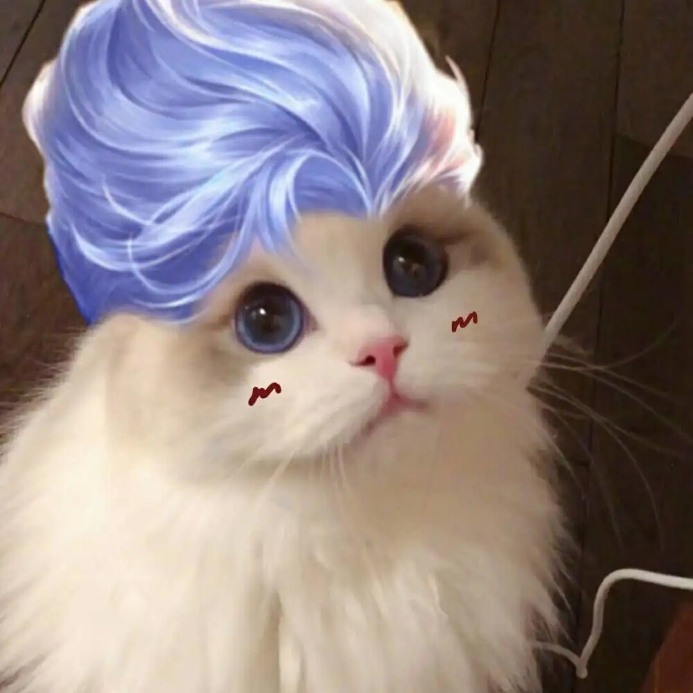 猫咪吃完驱虫药呕吐：如何应对和处理